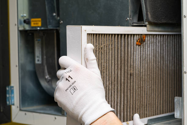 Best Air Duct Cleaning Near Me  in Shields, MI