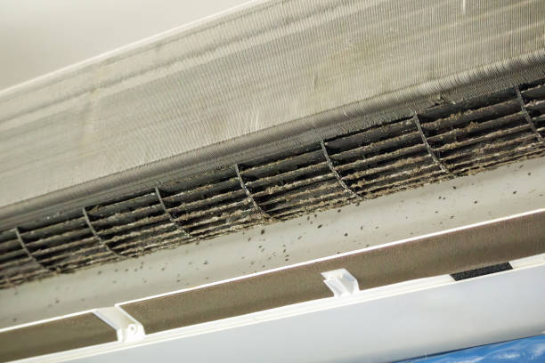Ductwork Cleaning Services in Shields, MI