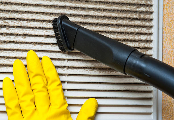 Best Air Duct Cleaning Near Me  in Shields, MI